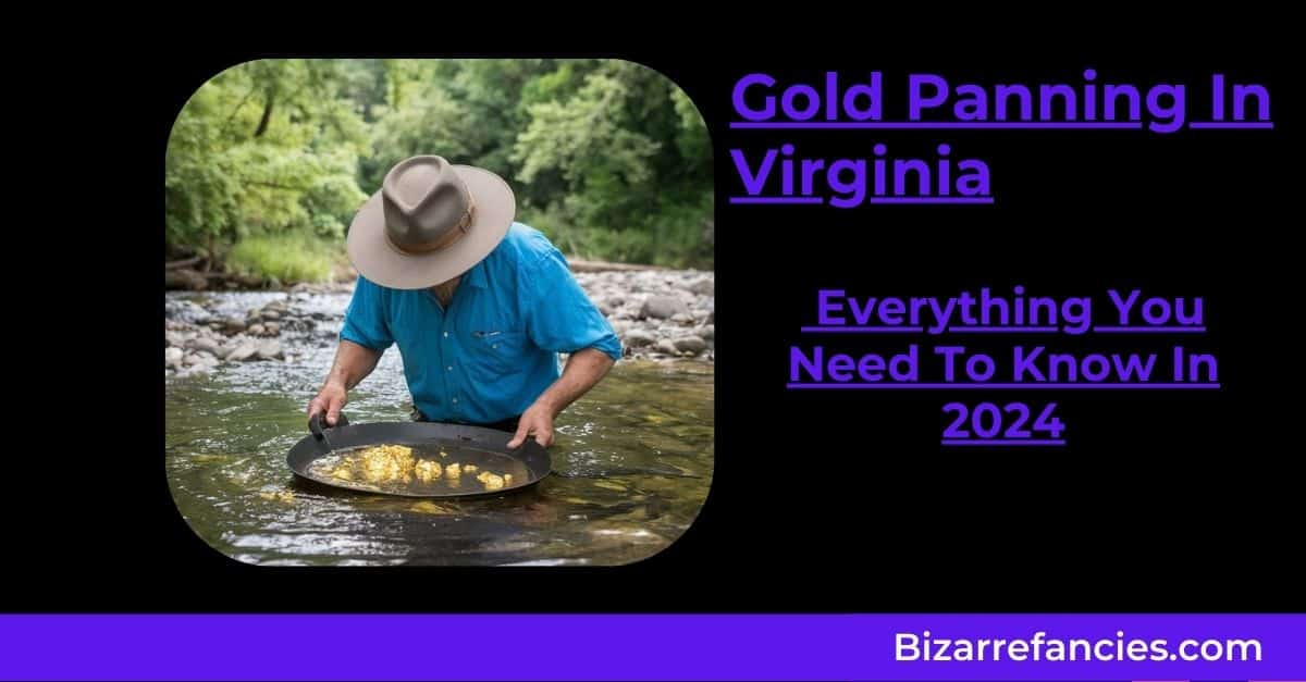 Gold Panning In Virginia