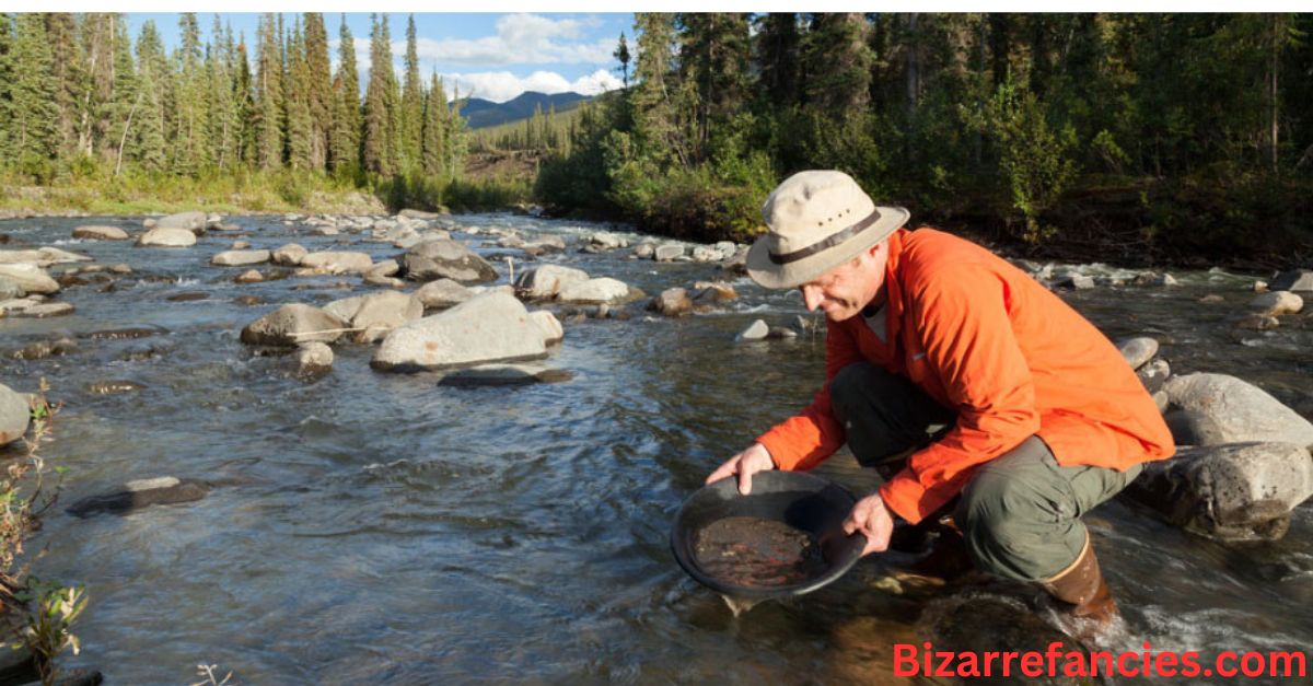 Gold Panning in Florida