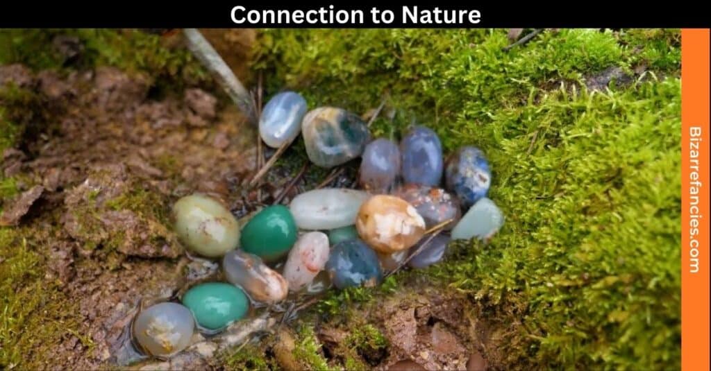 Connection to Nature Crystal Hunting Unearthing Gems