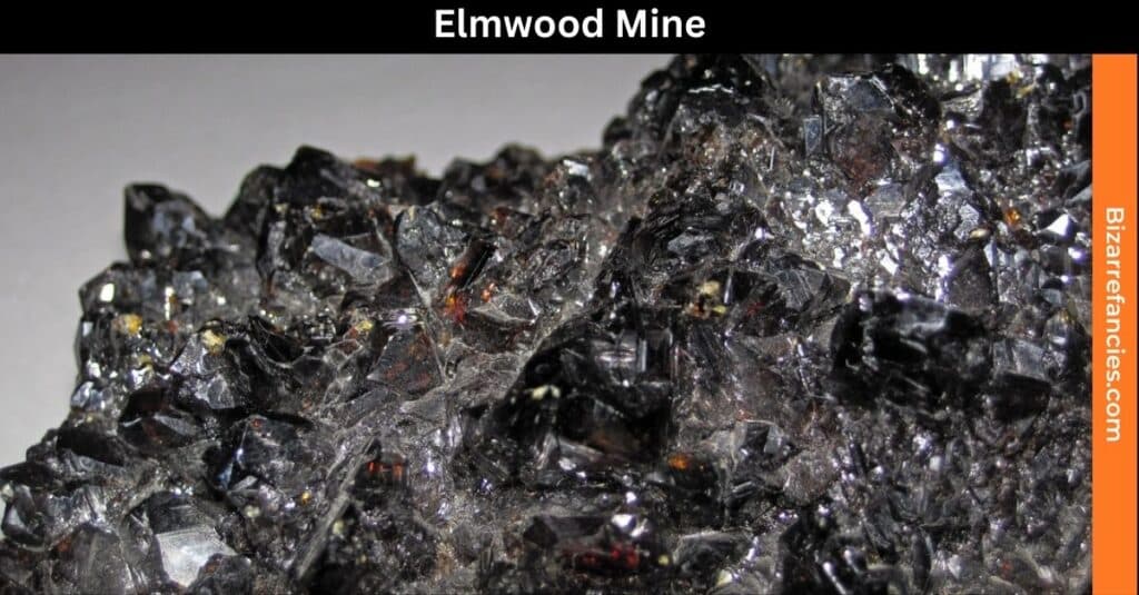 Elmwood Mine