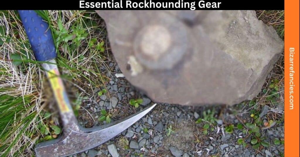 Essential Rockhounding Gear