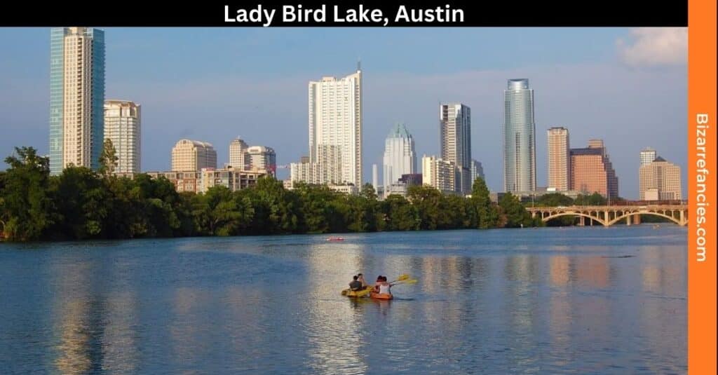 Lady Bird Lake, Austin Magnet Fish in Texas