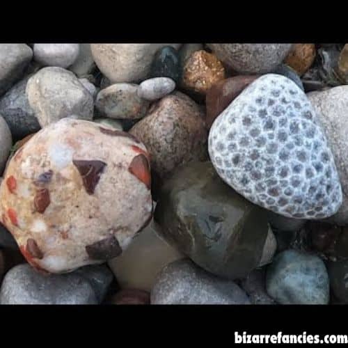 Lake Huron Shoreline