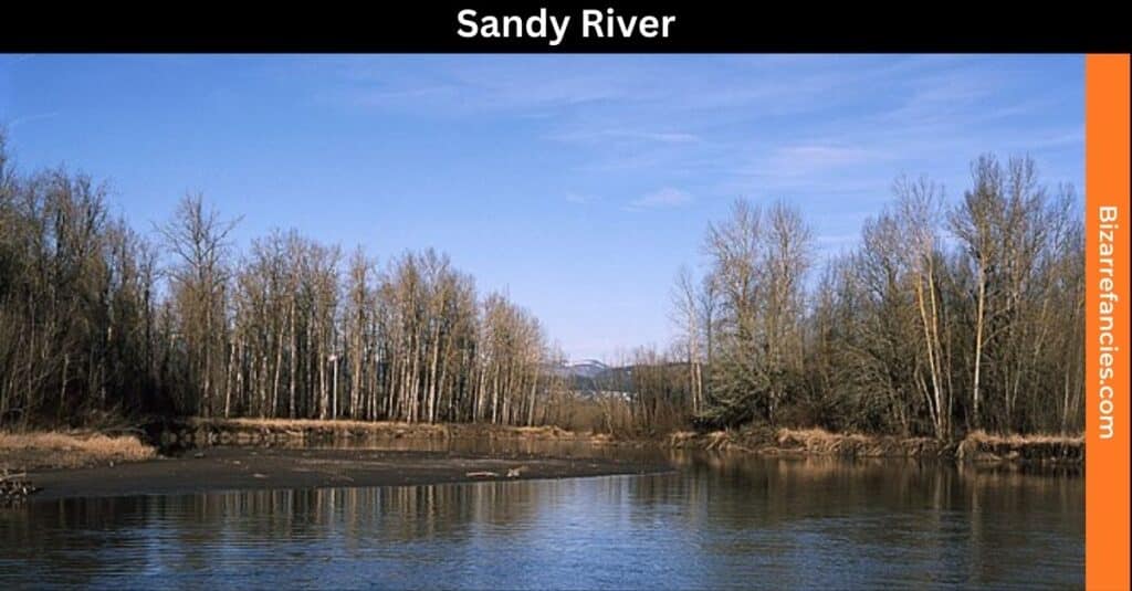 Sandy River Oregon Rockhounding